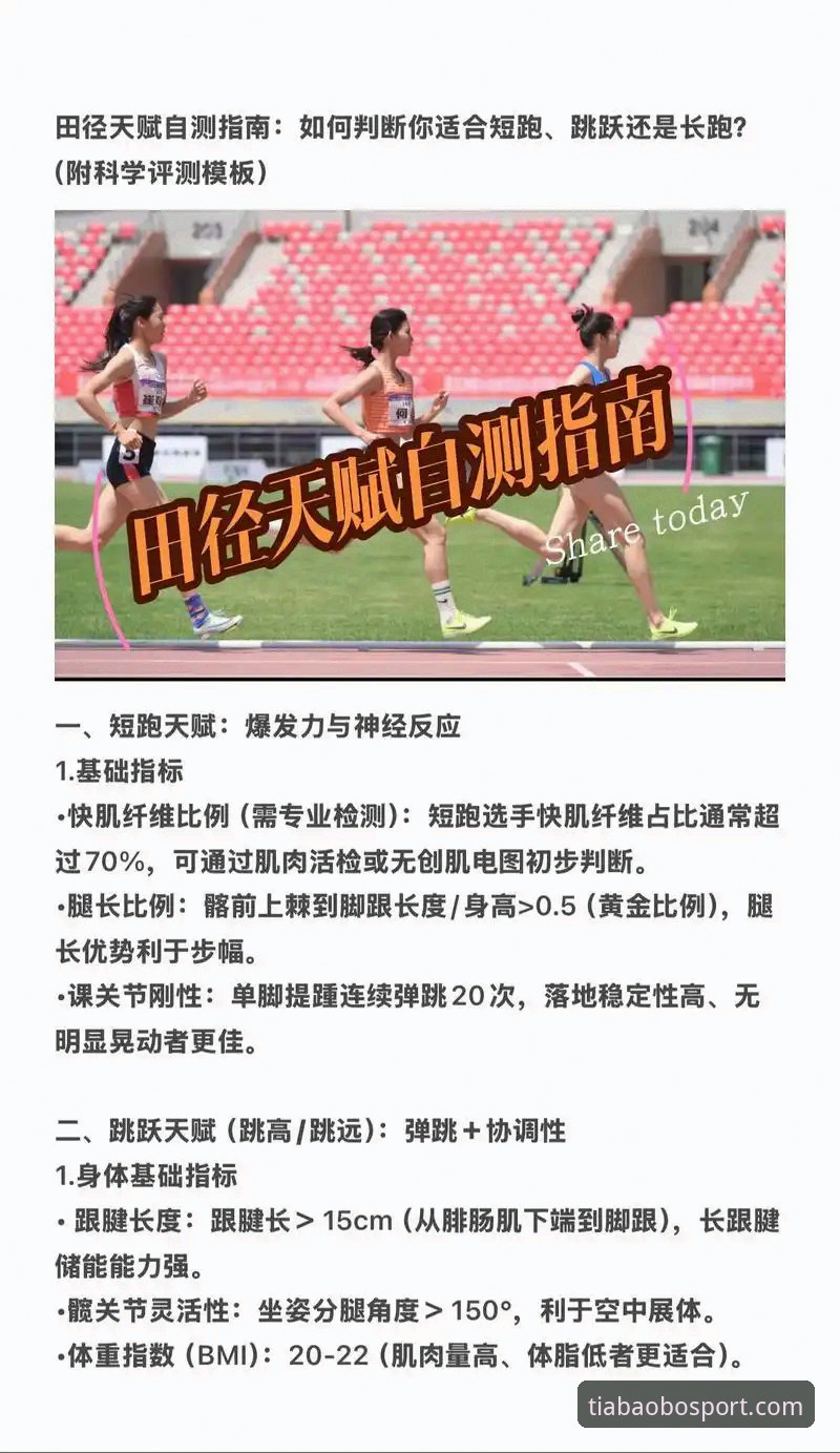 天宝博操作流畅哪个好 天宝博体育操作流畅实用指南:三招判断哪个版本更适合你